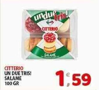 Mio Market CITTERIO UN DUE TRIS! SALAME 100 GR offerta