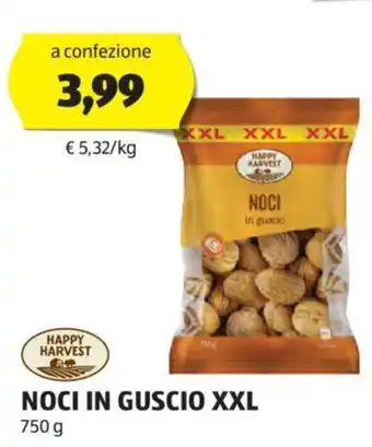 NOCI IN GUSCIO XXL 750 g