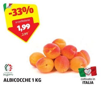 ALBICOCCHE 1 KG