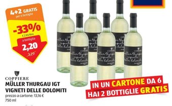 ALDI COPPIERE MÜLLER THURGAU IGT VIGNETI DELLE DOLOMITI 750 ml offerta