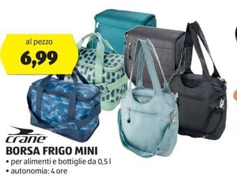 ALDI crane BORSA FRIGO MINI offerta