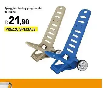 Spiaggina trolley pieghevole in resina