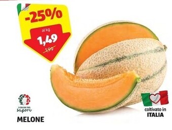 ALDI I colori del sapore melone offerta