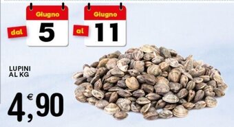 LUPINI AL KG
