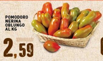 Gecop POMODORO NERINA OBLUNGO AL KG offerta