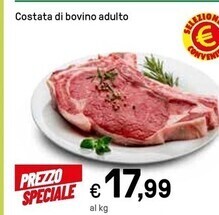 Costata di bovino adulto