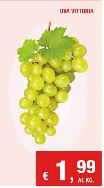 Uva Vittoria