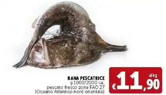 Deco Supermercati Rana Pescatrice Pescato Fresco offerta