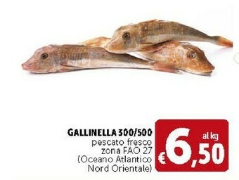 Deco Supermercati Gallinella Pescato Fresco offerta