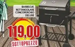 Deluxe barbecue rettangolare concoperchio