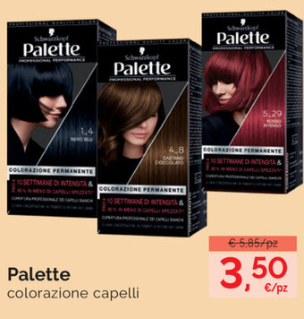 Prodet Palette Colorazione Capelli offerta