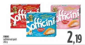 FINDUS sofficini vari gusti 250 g
