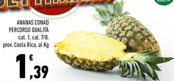 Conad ANANAS CONAD PERCORSO QUALITÀ offerta