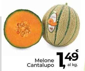 Supermercati Dok Melone Cantalupo offerta