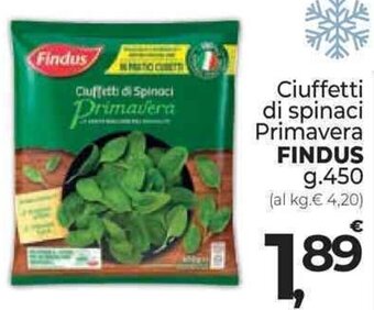 Supermercati Dok Ciuffetti di spinaci Primavera FINDUS g.450 offerta