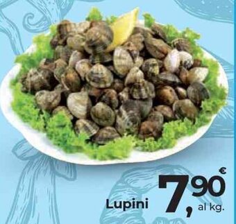 Lupini