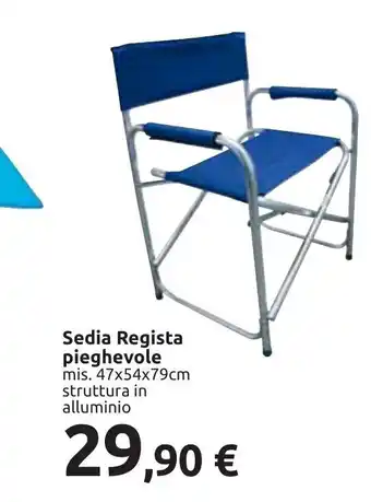 Carrefour Sedia Regista pieghevole mis. 47x54x79cm offerta