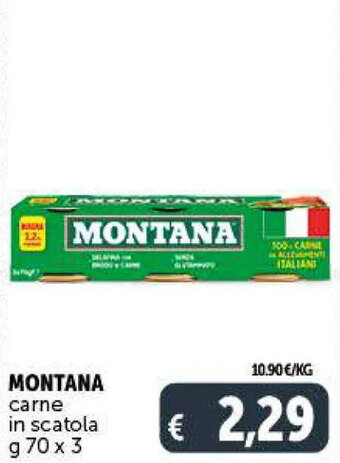 Deco Supermercati MONTANA carne in scatola g 70 x 3 offerta