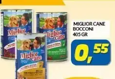 Morando miglior cane bocconi