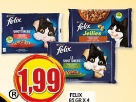 Purina felix