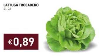 Prezzemolo e Vitale LATTUGA TROCADERO offerta