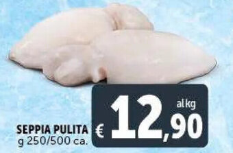 Deco Supermercati SEPPIA PULITA g 250/500 ca. offerta