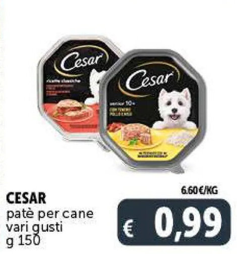Deco Supermercati CESAR patè per cane vari gusti g 150 offerta