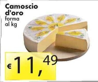 Camoscio d'oro forma al kg