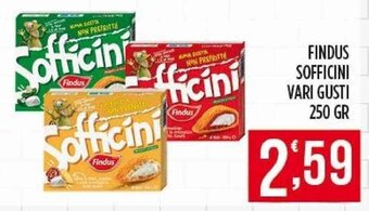 FINDUS SOFFICINI VARI GUSTI 250 GR