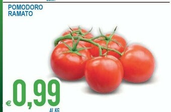 MD Discount Pomodoro Ramato offerta