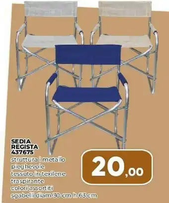 Sedia Regista