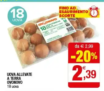Iperal Ovonovo Uova Allevate A Terra offerta