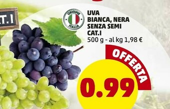 PENNY Uva Bianca,nera Senza Semi offerta