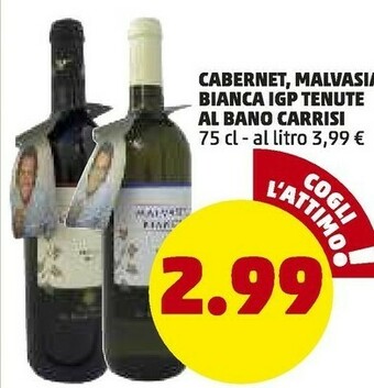 PENNY Tenute Al Bano Carrisi Cabernet offerta