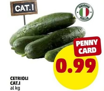 PENNY Cetrioli offerta