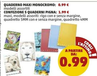 PENNY Quaderno Maxi Monocromo offerta