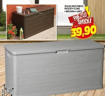 Baule multibox woody's line