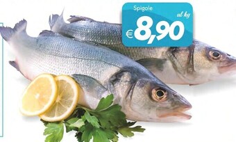 Iper Super Conveniente Spigole offerta