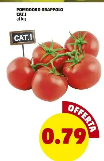 PENNY Cat.i Pomodoro Grappolo offerta