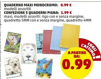 PENNY Quaderno Maxi Monocromo offerta