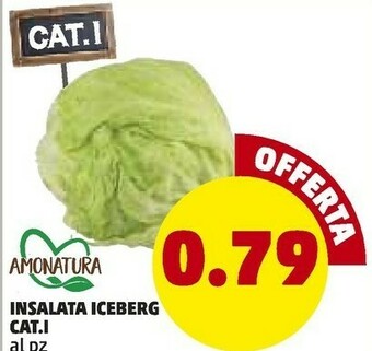 PENNY Amonatura Insalata Iceberg offerta