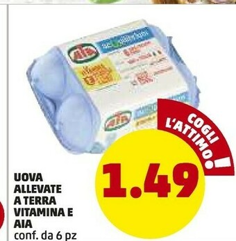 PENNY Aia Uova Allevate A Terra offerta