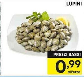 Pam LUPINI offerta