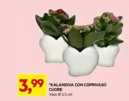 Todis Pesca tabacchiera offerta