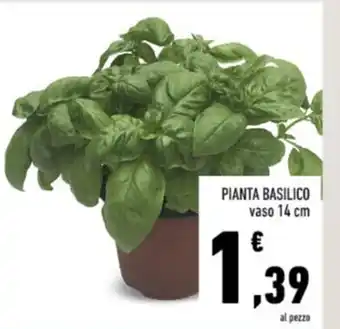 Conad PIANTA BASILICO vaso 14 cm offerta