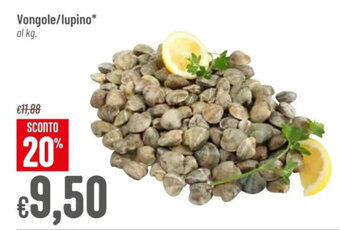 Pan Vongole/lupino* al kg. offerta