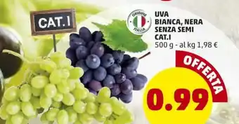 PENNY Uva Bianca, Nera Senza Semi Cat.I 500g offerta