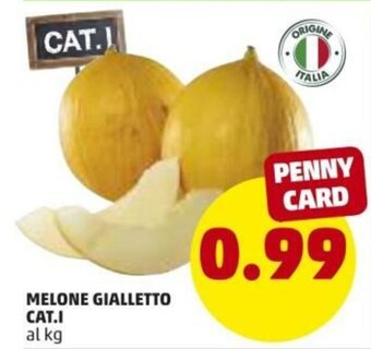 PENNY Melone Gialletto Cat.I offerta