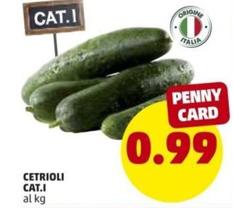 PENNY Cetrioli Cat.I offerta