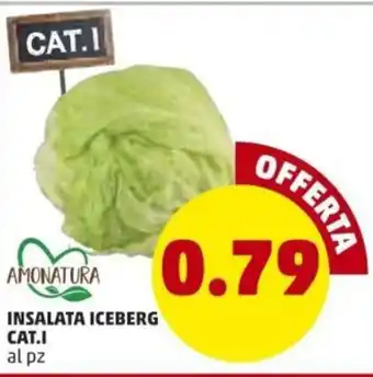 PENNY Amonatura Iceberg Insalata Cat.I offerta